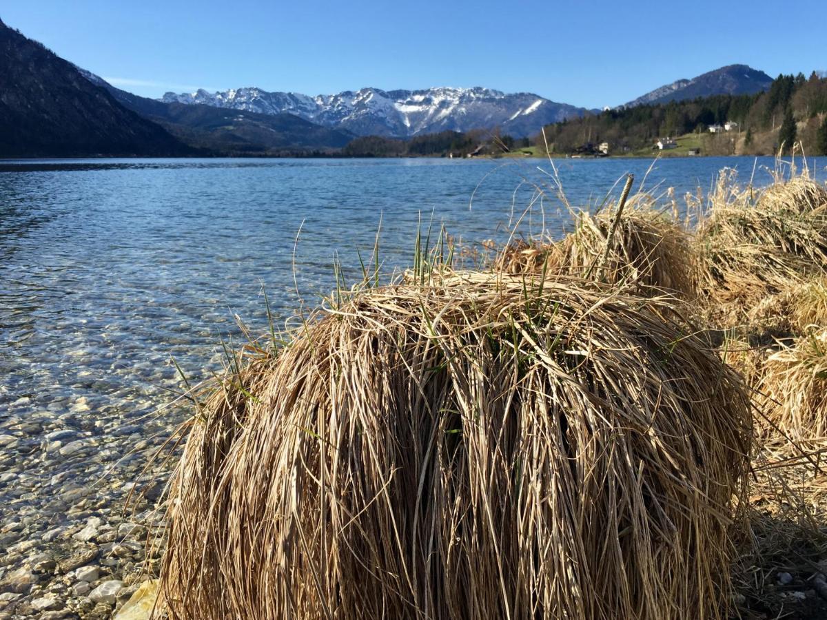 Landhaus Hallstaettersee Bad Goisern Eksteriør billede